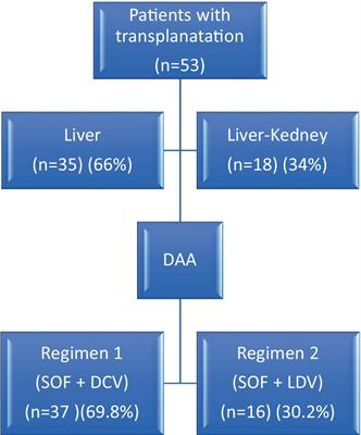 Efficacy of Direct Acting Antivirals (DAA) therapy in patients with recurrent hepatitis C after liver and kidney transplantation: a cross-sectional study